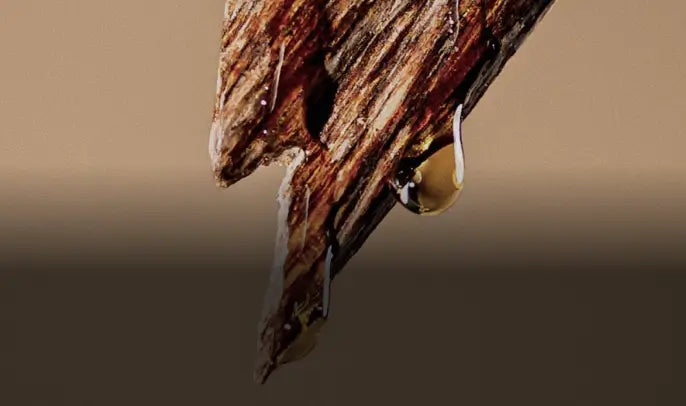 Cedarwood Oil